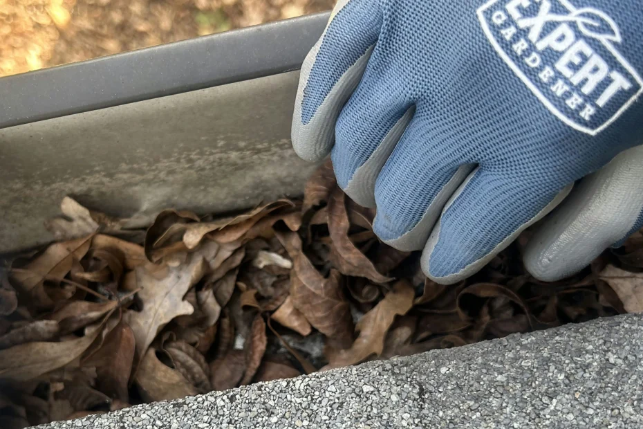 Gutter Cleaning Goodlettsville, TN